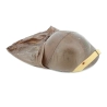 Helmet MKII Canadian 1942 & Anti-gas Helmet Cover