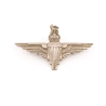 Cap badge Parachute Regiment British Airborne