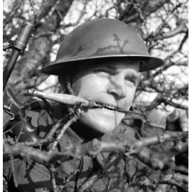 Fairbairn Sykes  Dagger "nickel-plated"