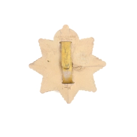 Cap badge "Economic" Devonshire Regiment