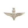 Cap badge Parachute Regiment British Airborne