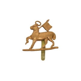 Cap Badge "Queen's Royal Regiment"
