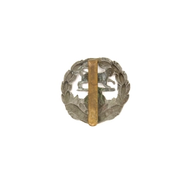 Cap Badge "Hampshire Regiment"