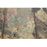 Ammunitions box  2cm Flak 30-38 camouflaged