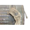 Masque anti-gaz Wehrmacht dans son boitier camouflé trois tons 1944