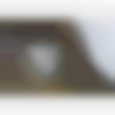 Helmet M-35 camoufled tree-tone
