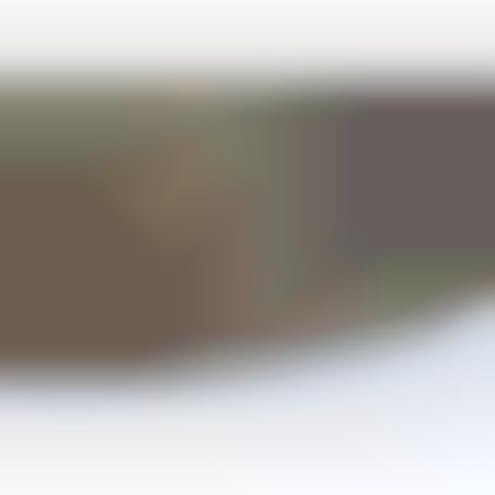 Helmet M-35 camoufled tree-tone