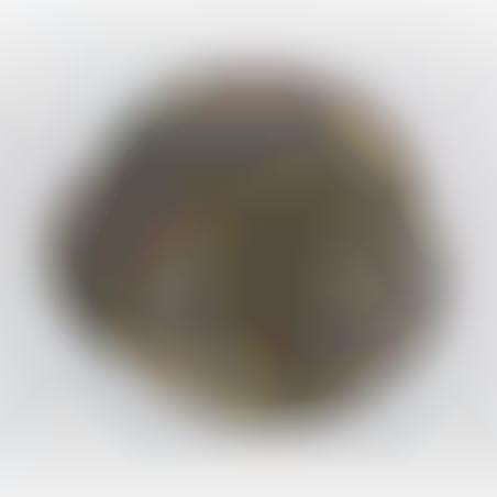 Helmet M-35 camoufled tree-tone
