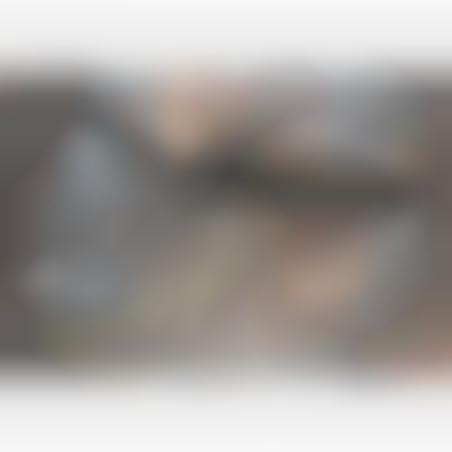 Helmet M-35 camoufled tree-tone