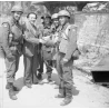 Insigne Beach Group British Army