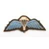 Brevet Parachutiste British Army