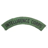 Title Intelligence Corps British Army