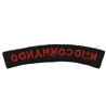 Title 10 Commando British Army